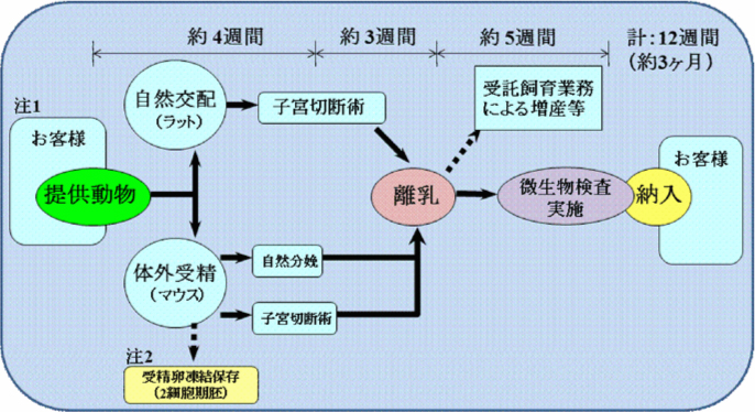 微生物学的クリーニング業務受託までの流れ