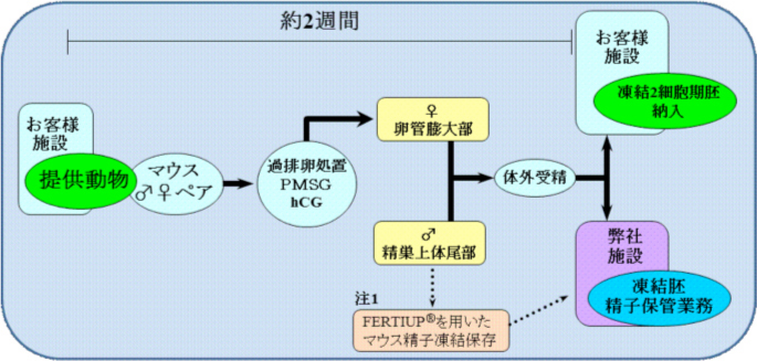 胚・精子凍結保存受託までの流れ