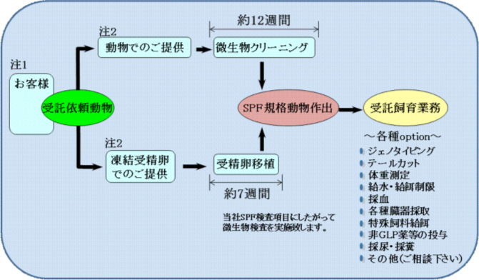 試験受託までの流れ